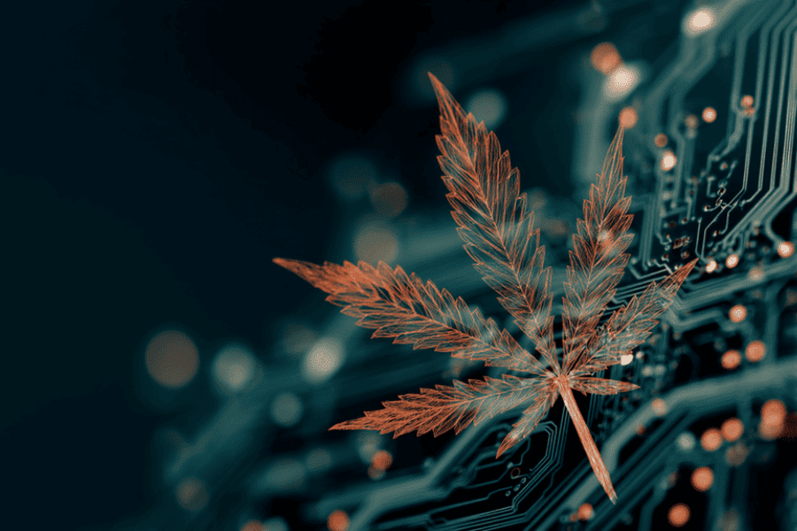 synthetische cannabinoïden zijn geproduceerd en dus geen natuurlijke middelen
