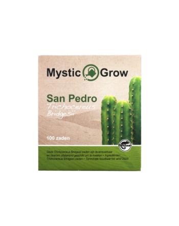 San Pedro T bridgesii zaden - 100 stuks