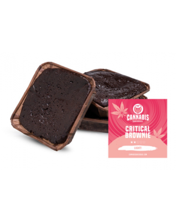 CBH Critical Brownie