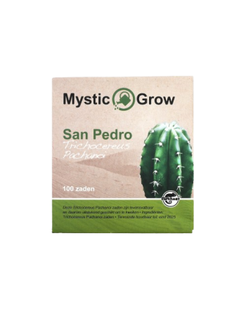 San Pedro T Pachanoi zaden - 100 stuks