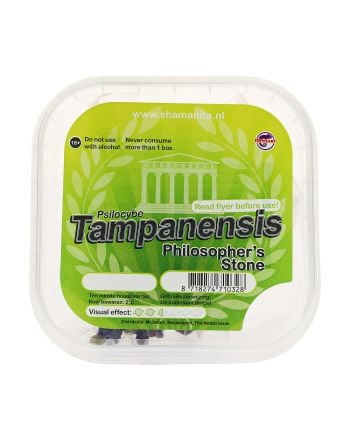 Tampanensis - 15 gram Magic Truffels 