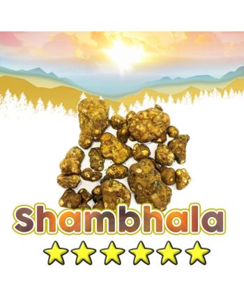 Psilocybe Shambhala Truffels - 15gram