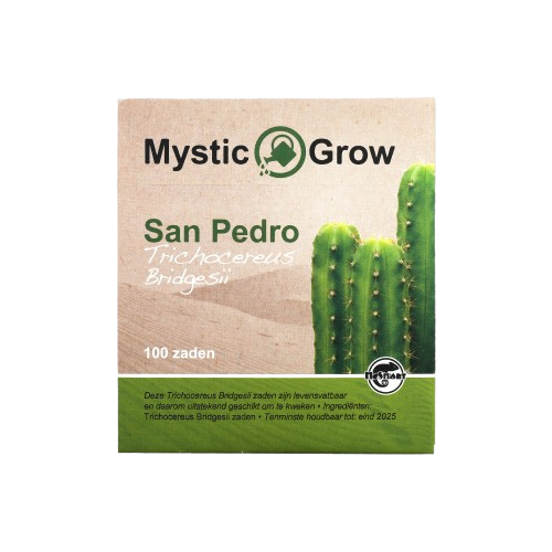San Pedro T bridgesii zaden - 100 stuks