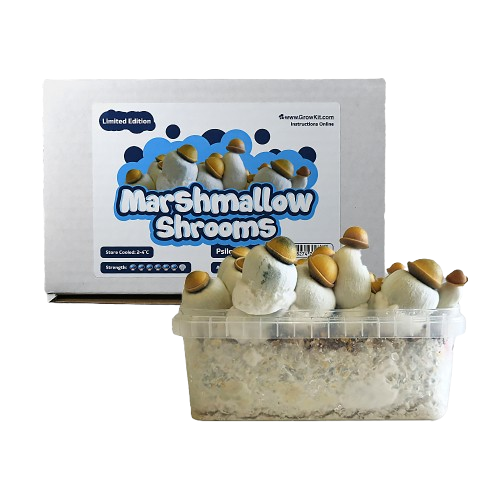 Marshmallow Shrooms Growkit - 1200 cc