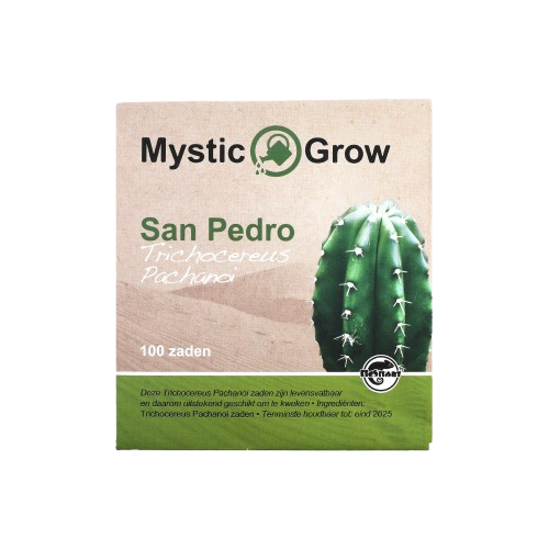 San Pedro T Pachanoi zaden - 100 stuks