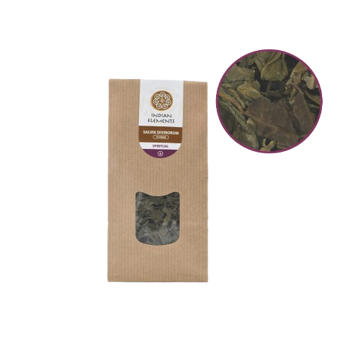 Salvia Divinorum Blad 10 gram - Indian Elements