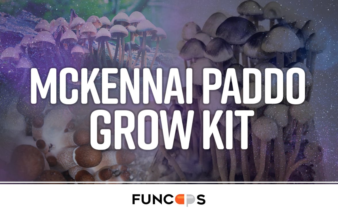 McKennaii Paddo Grow Kit