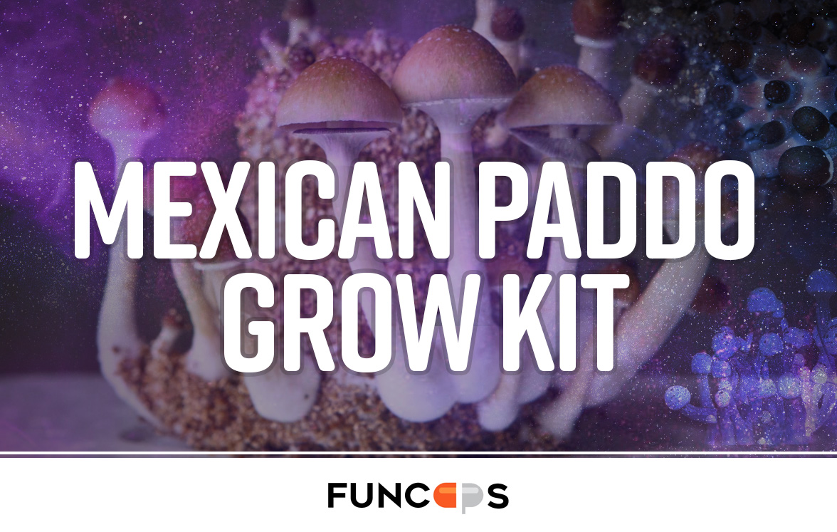 Mexican Paddo Grow Kit