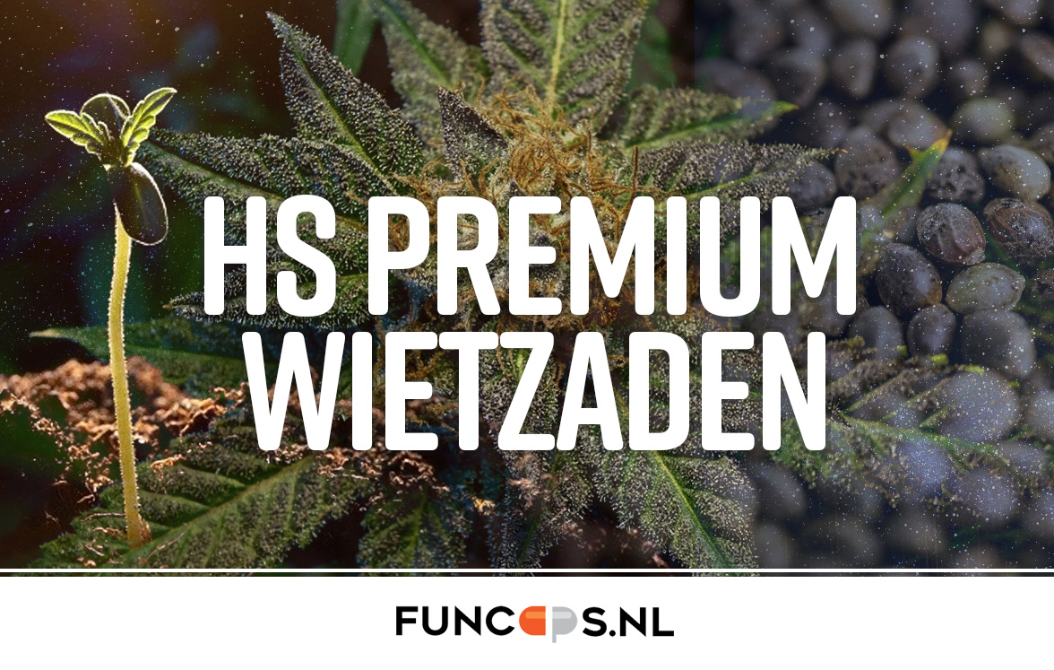HS premium wietzaden HS premium wietzaden