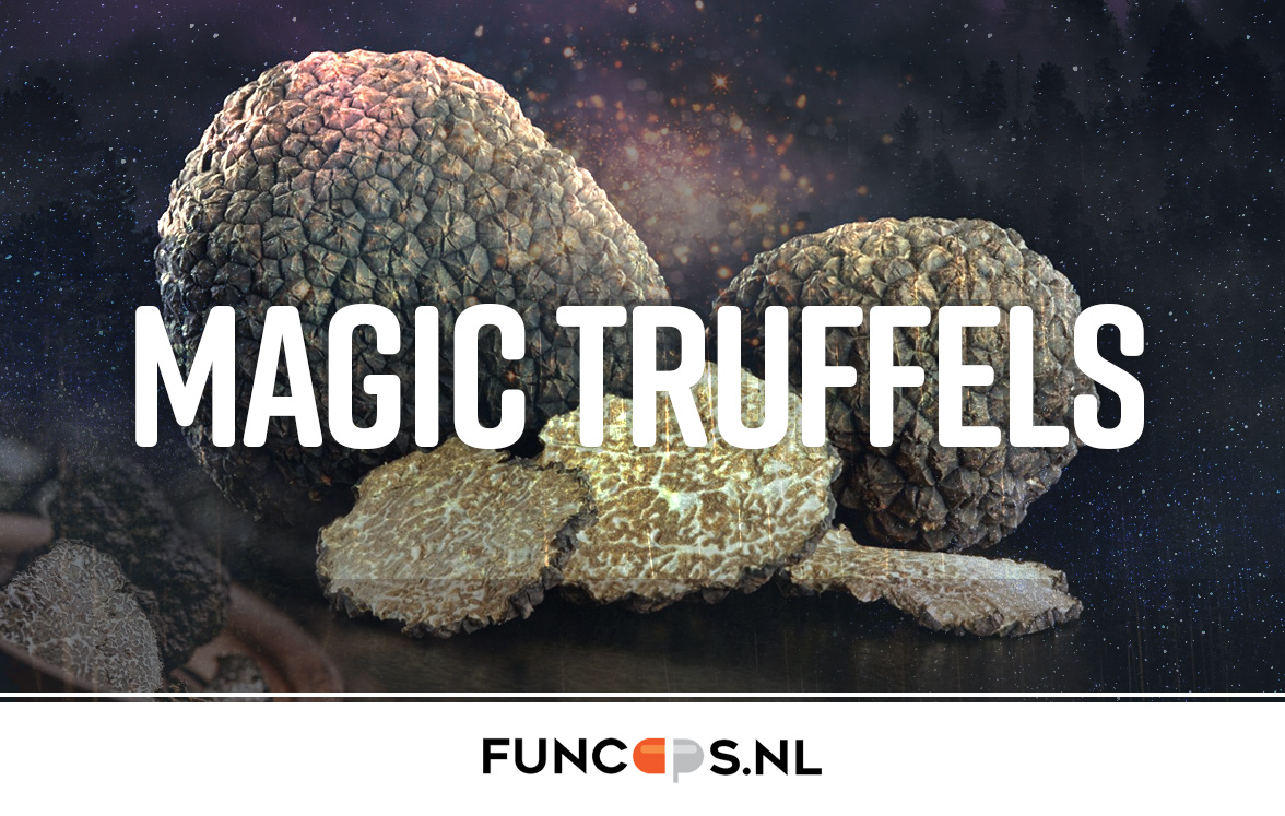 Magictruffels Magictruffels
