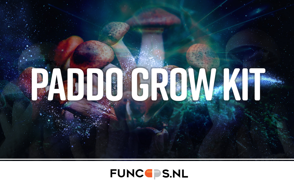 Paddogrowkit Paddogrowkit